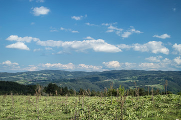 Summer nature with hills