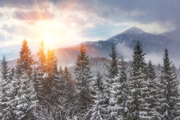 Landscape of winter mountains at sunshine. View  of the snowfall and snow covered hills. Happy New Year! 