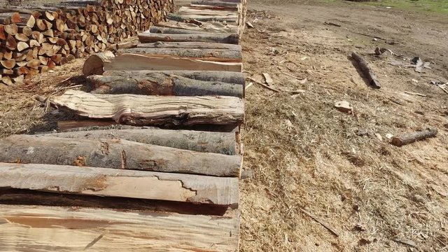 Firewood background texture. Deforestation environmental problem. Firewood stuck