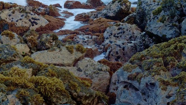 Dawn Waves Tide pool Forming Seaweed Kauai Hawaii