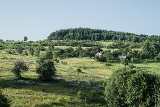 Green summer hills
