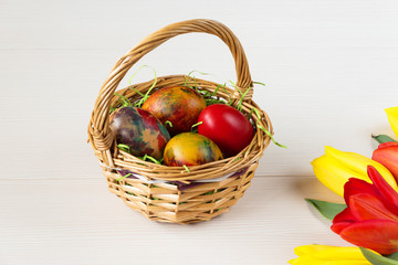 Easter wicker basket with colored eggs and yellow and red tulips on white wooden board.