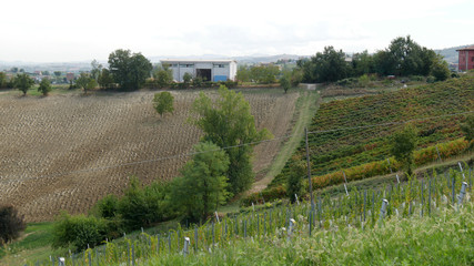 Fototapeta na wymiar Terra e campi coltivati in Emilia Romagna