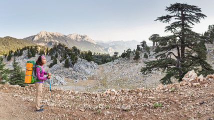 Woman hiker with backpack travelling in a pine forest by Lycian Way, Turkey
