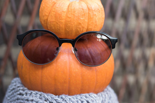 Close-up: Organic Pumpkin Is An Orange Queen Of Autumn. Concept: Healthy Food With A Sense Of Humor. 