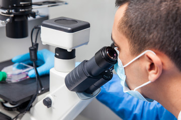 Young male scientist looking at cell culture under the microscope