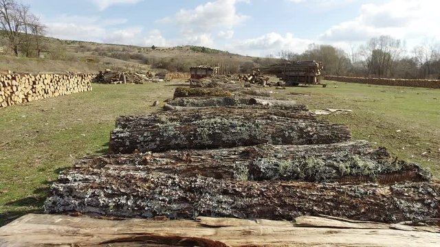 Firewood background texture. Deforestation environmental problem. Firewood stuck