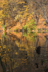 Fototapeta premium Sunny autumn