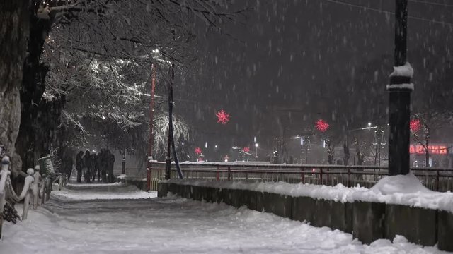 City walkway and snow blizzard at night. Beautiful winter alley. Park trees covered with snow