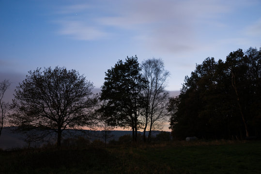 Tree Silhouettes © darknightsky