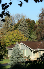 A suburban house framed by trees