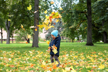Fototapeta premium Boy throwing autumn leaves up in the park.