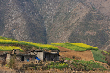 rural living house or cottage on the yangtze river, china