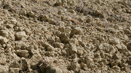 Terra arata e fertile