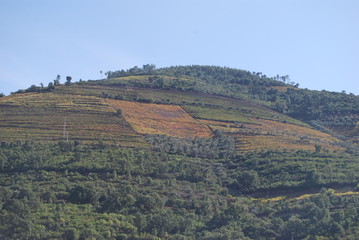 Paisagens Geres/Douro