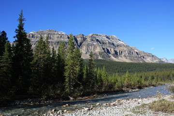 Canadian Mountains