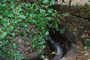Paisagens Geres/Douro