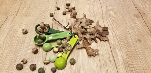 Acorns & spoons