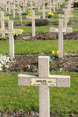 Naklejka premium Valenciennes, France, 16 March 2017. Tombs of soliders fallen in World War I (one) at Saint Roch cemetery. 