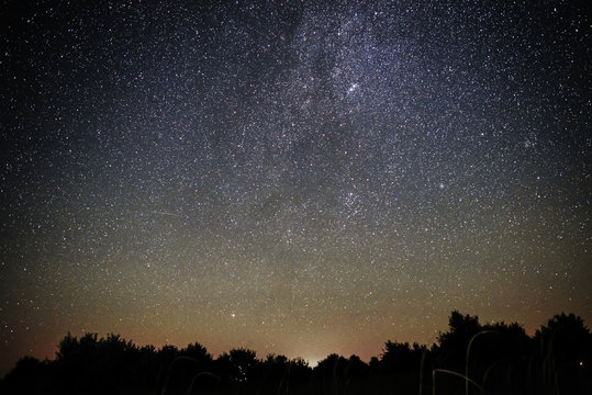 Background of bright starry night sky with lights upon on it and silhouette of trees