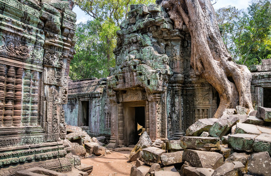 Tree roots over the beautiful Ta Prohm temple at Angkor, Siem Reap Province, Cambodia. It was founded by the Khmer King Jayavarman VII as a Mahayana Buddhist monastery and university.