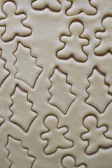 integral cookies