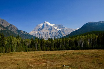 Fototapeta na wymiar Mount Robson
