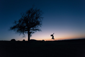 Silhouette of Person Jumping and Tree at Sunset 