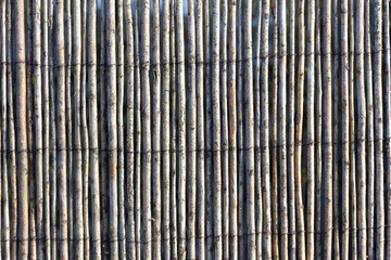 Bamboo fence