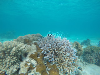 DCIM\100GOPRO\GOPR2398.