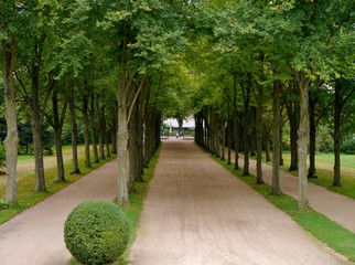Baumallee im Schlosspark