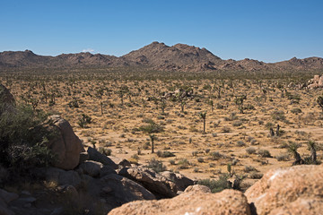 California Desert 2