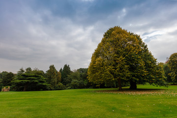Landscaped park with large trees and lawn in early autumn.