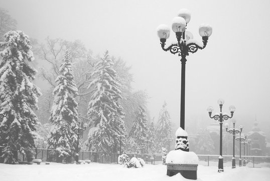 Wonderful Winter, Blizzard, Snowfall