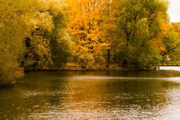 Obraz premium Autumn park pond trees