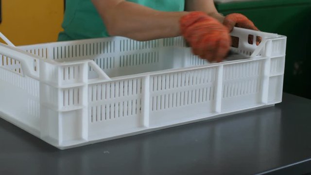 White plastic box, printing. Offset press printing for labels