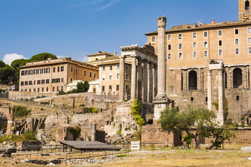 Fototapeta na wymiar Roman Forum, Rome, Italy.