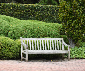Fototapeta premium park bench