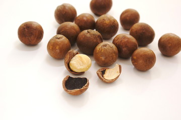 殻つきマカダミアナッツ