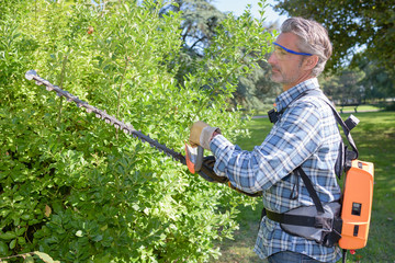 Obraz premium trimming the plant