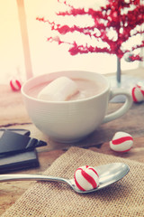 Cup of cocoa and peppermint candies