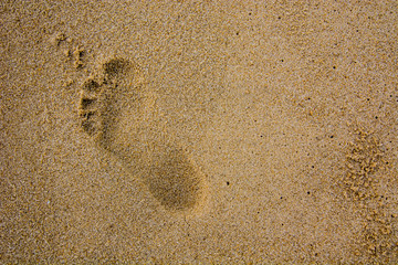 Fototapeta na wymiar Artistic photo. Close-up on a footprints in the sand of a beach 