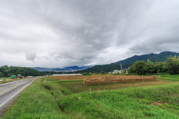 秋の長野の田園の風景