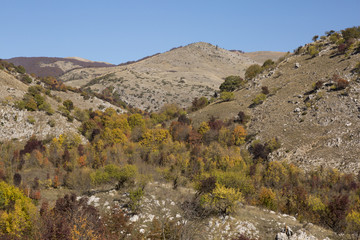 Fototapeta na wymiar Autumnal view of the Abruzzo National Park