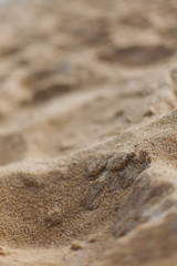 Sand Close Up