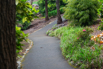 Naklejka premium Ścieżka prowadząca przez ogród