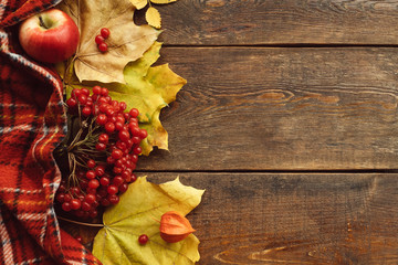 Fall leaves and berries background. Autumn harvest concept