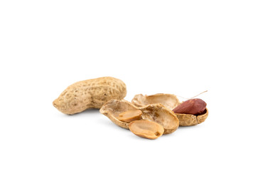 Fresh peanut on a white background.