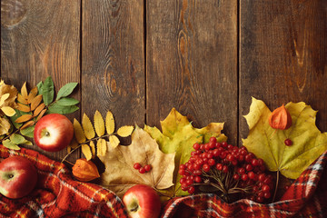 Autumn coziness ripe leaves mix wood surface concept. Colourful fall background.