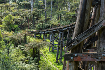 The Monbulk Trestle Bridge